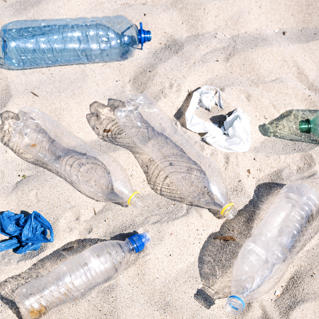 botellas pet plástico recicladas